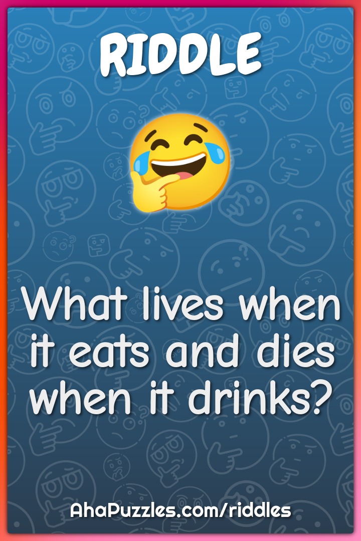 What lives when it eats and dies when it drinks?