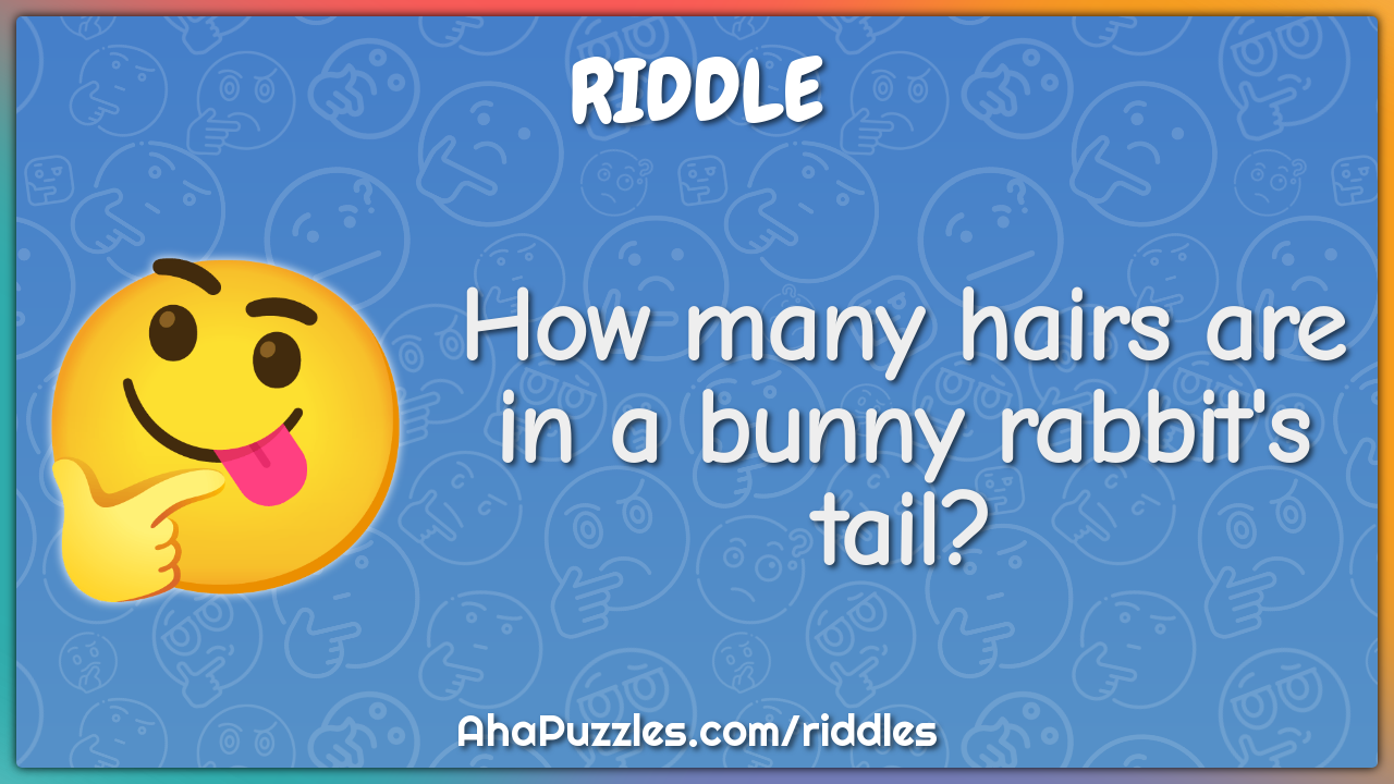 How many hairs are in a bunny rabbit's tail?
