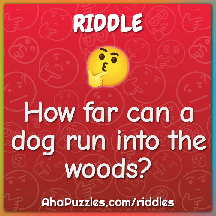 Animal Riddles with Answers - Aha! Puzzles
