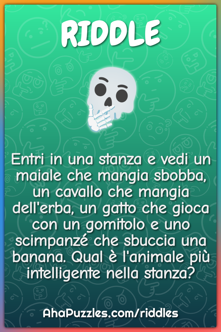 Entri in una stanza e vedi un maiale che mangia sbobba, un cavallo che...