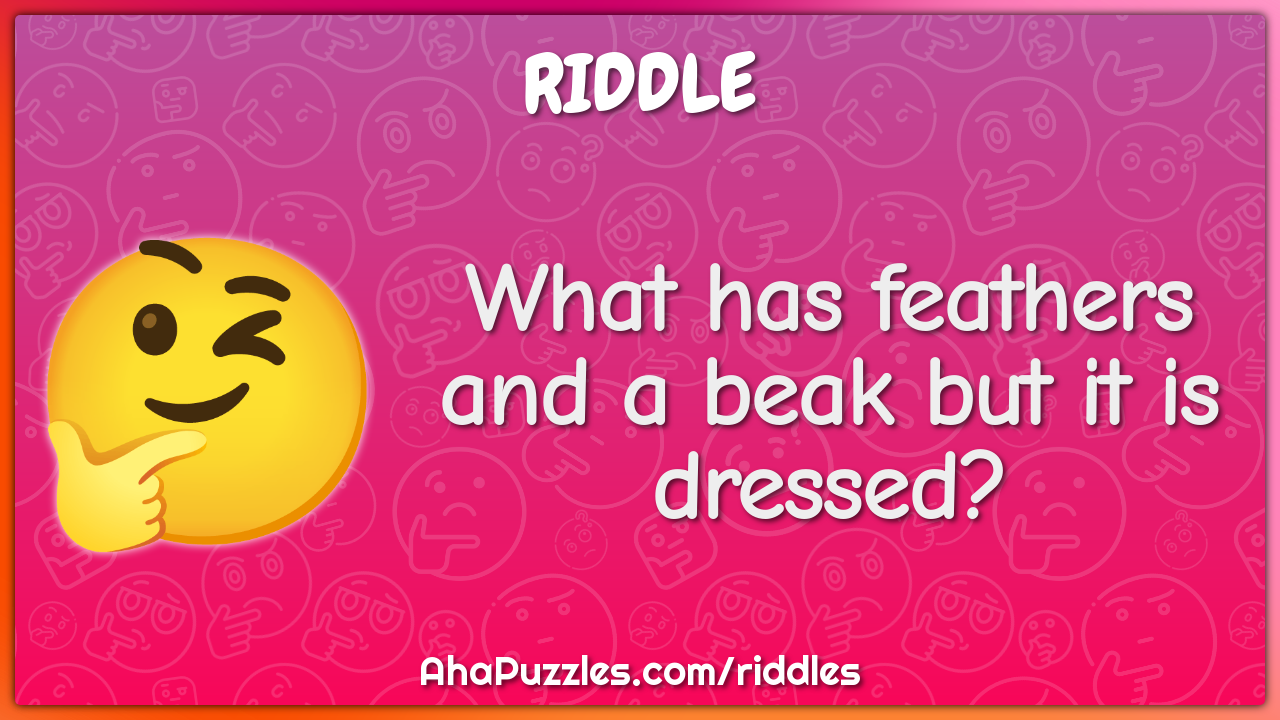 What has feathers and a beak but it is dressed?