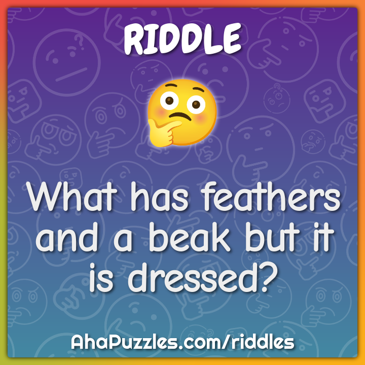 What has feathers and a beak but it is dressed?