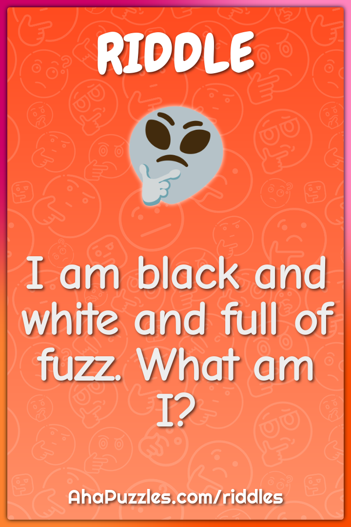 I am black and white and full of fuzz. What am I?