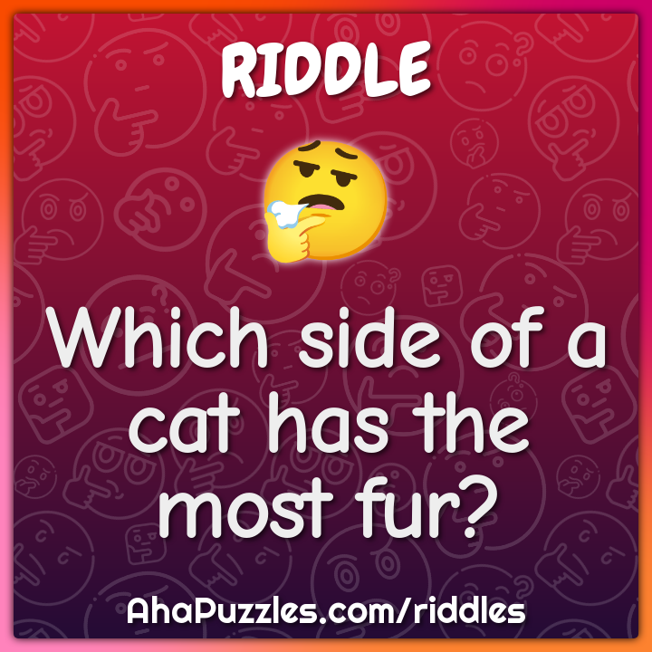 Funny Riddles With Answers Aha Puzzles