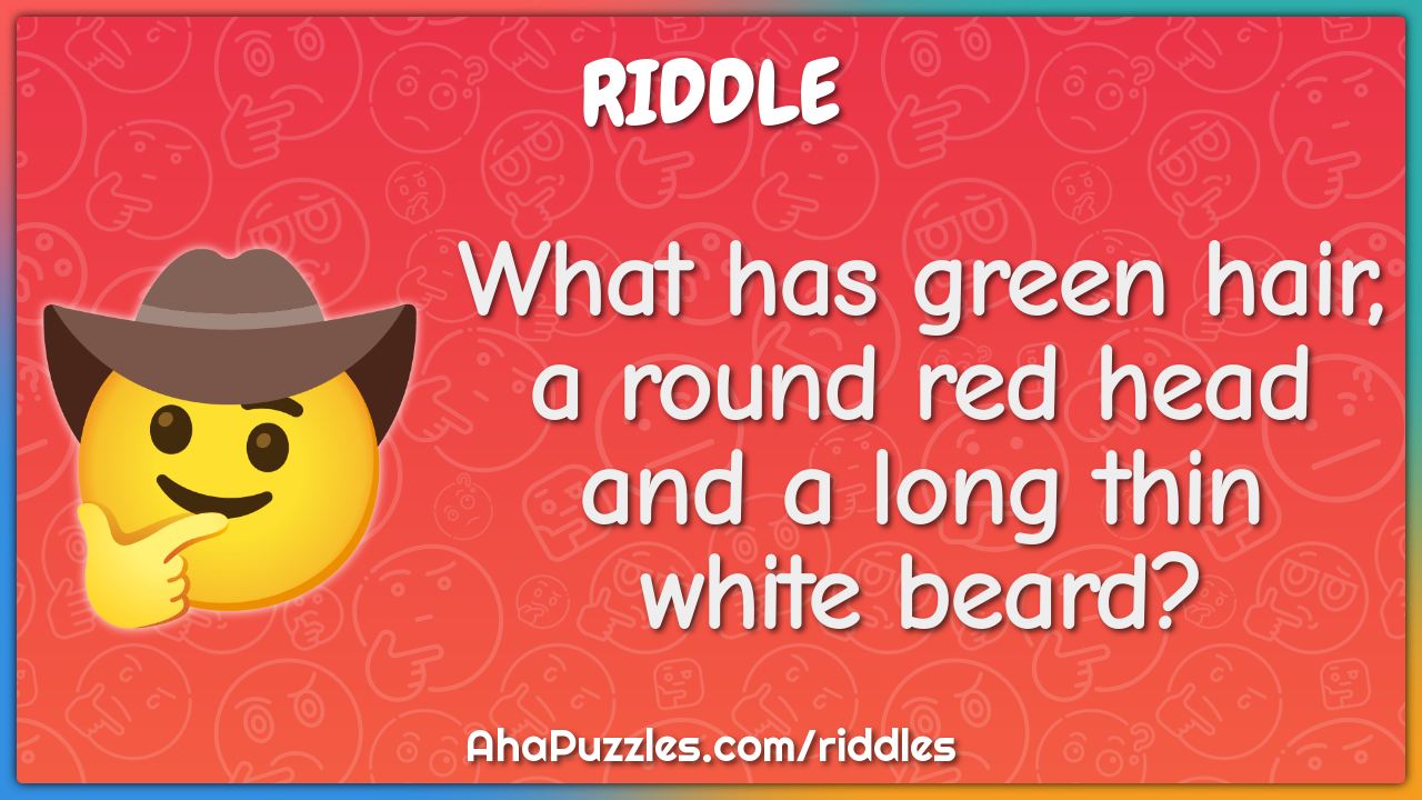 What has green hair, a round red head and a long thin white beard?