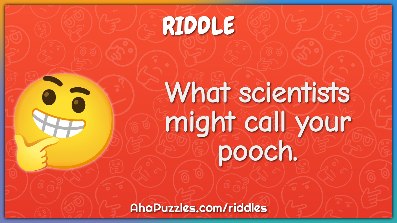 What scientists might call your pooch.