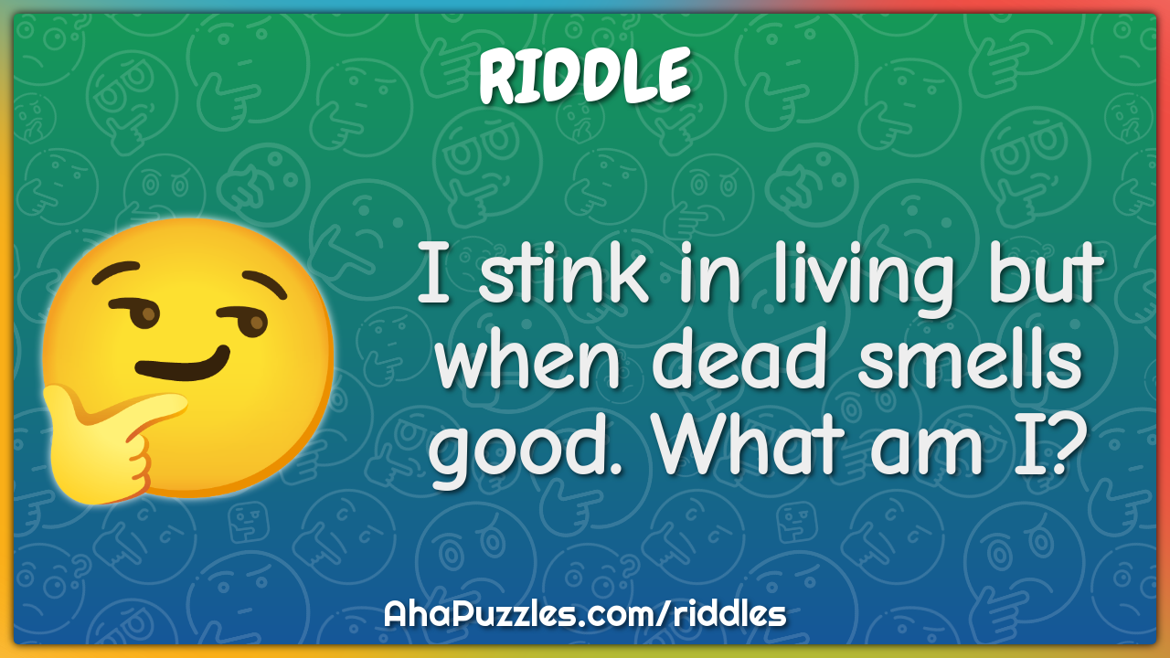 I stink in living but when dead smells good. What am I?