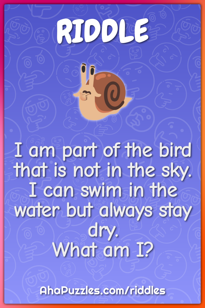 I am part of the bird that is not in the sky. I can swim in the water...