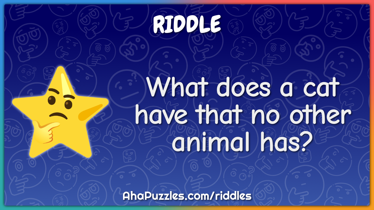 What does a cat have that no other animal has? - Riddle & Answer - Aha!  Puzzles