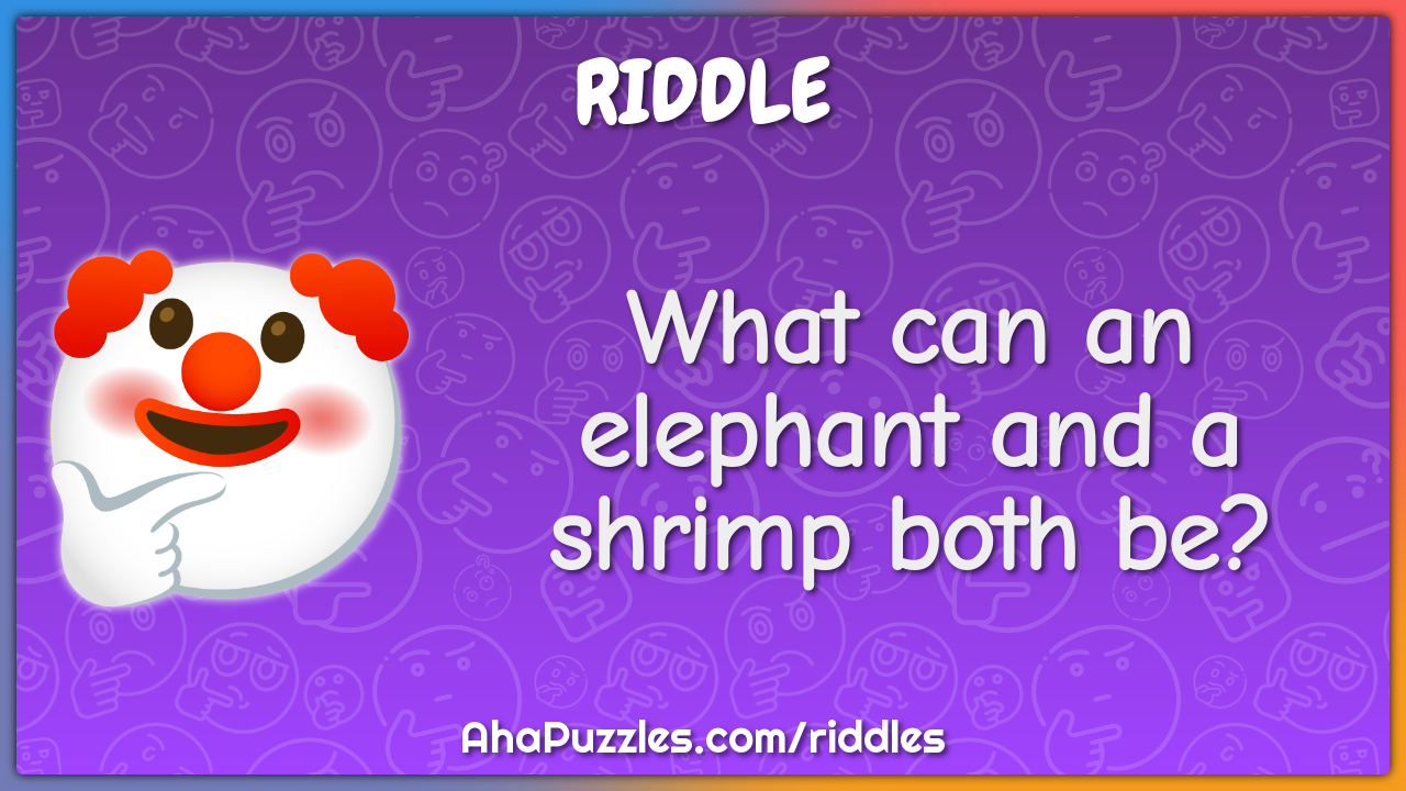 What can an elephant and a shrimp both be?