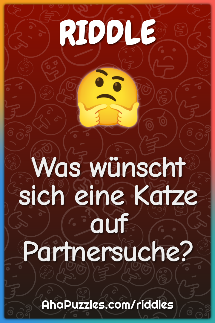 Was wünscht sich eine Katze auf Partnersuche?