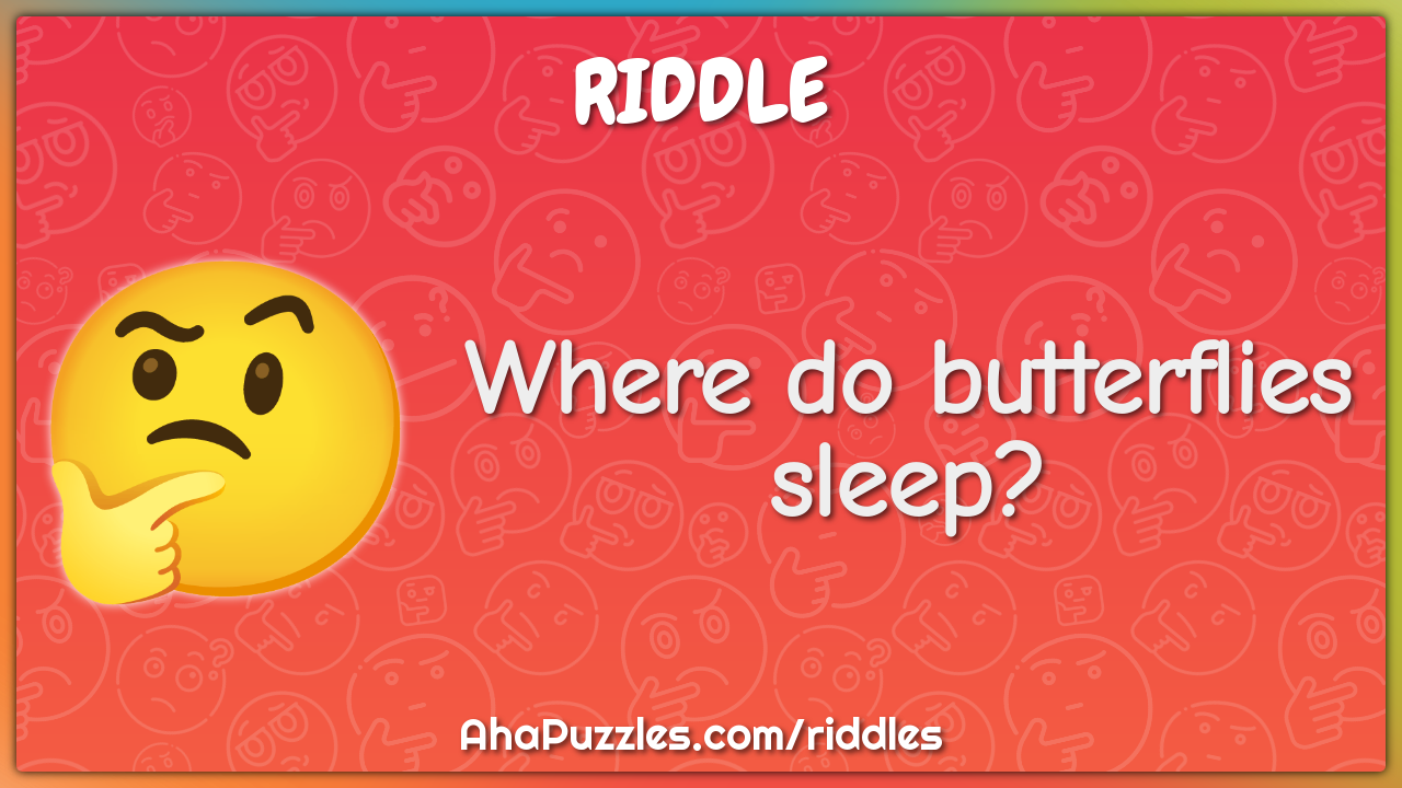 Where do butterflies sleep?