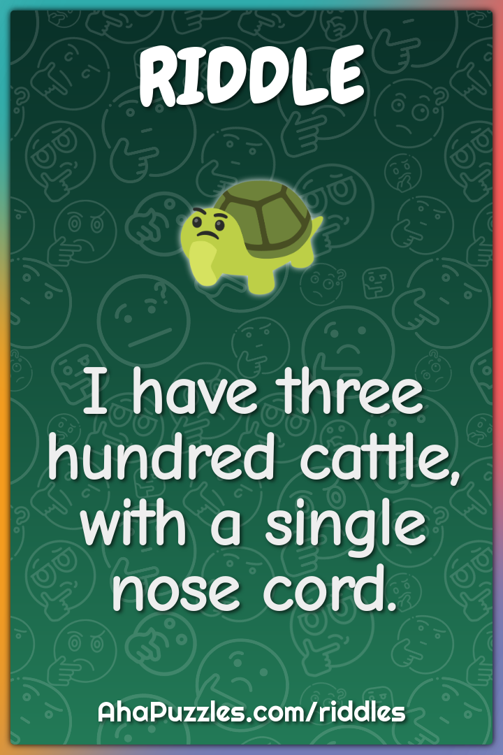 I have three hundred cattle, with a single nose cord.