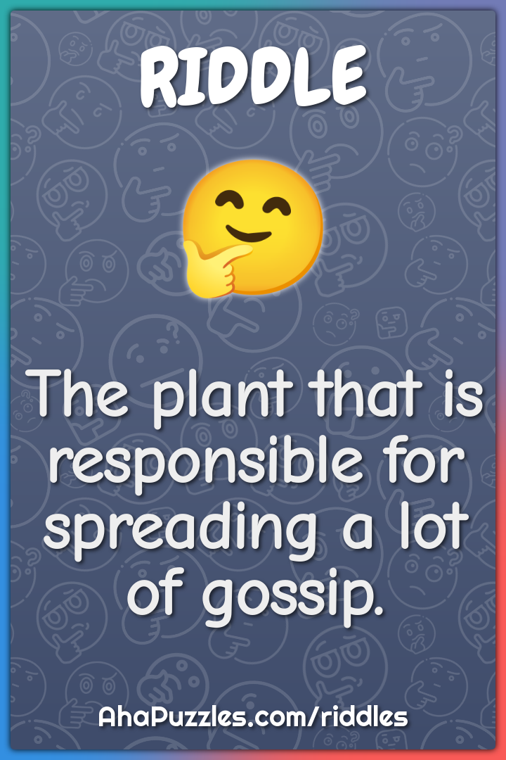 The plant that is responsible for spreading a lot of gossip.
