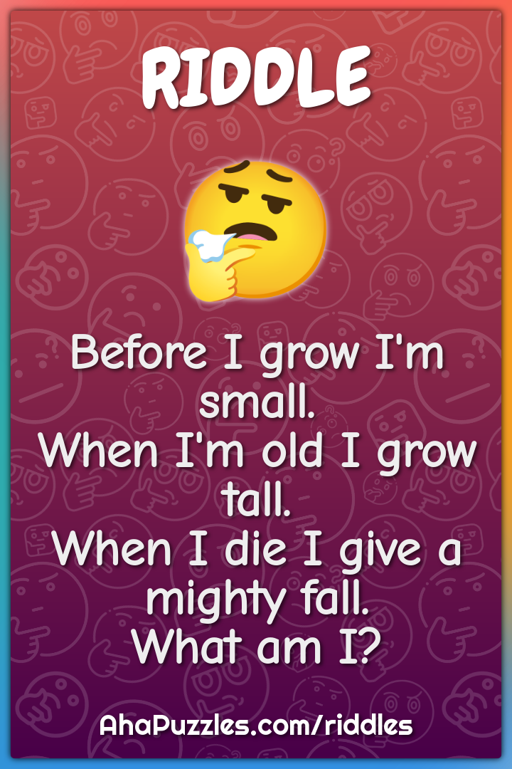 Before I grow I'm small. When I'm old I grow tall. When I die I give a...