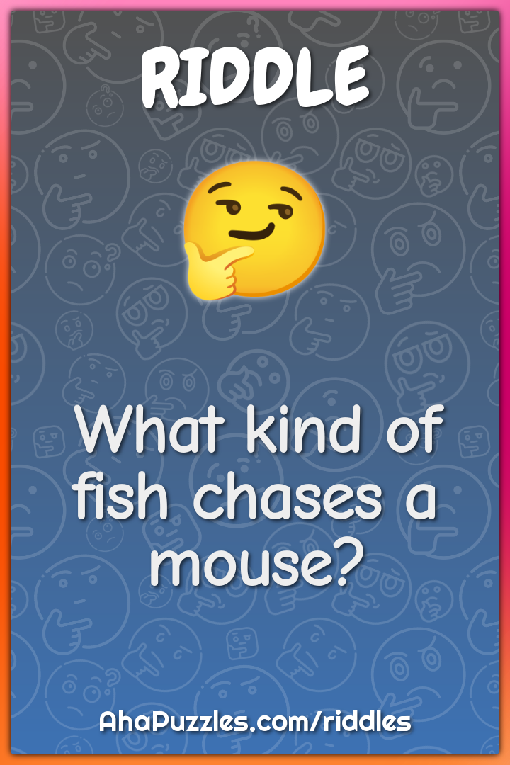 What kind of fish chases a mouse?